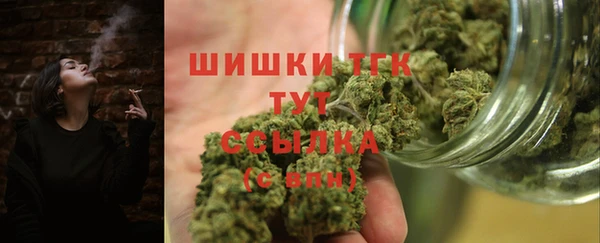 индика Балабаново