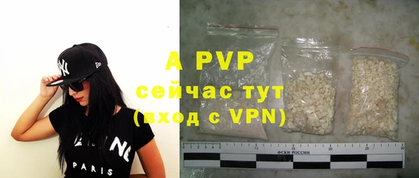 индика Балабаново