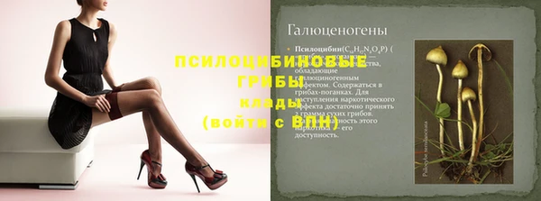 индика Балабаново