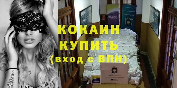 индика Балабаново