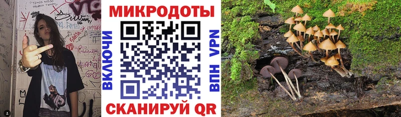 Псилоцибиновые грибы ЛСД что такое Белозерск